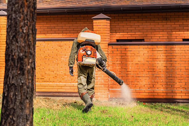 Trusted Ant Control service in Cinco Ranch, TX - Nex Pest Control